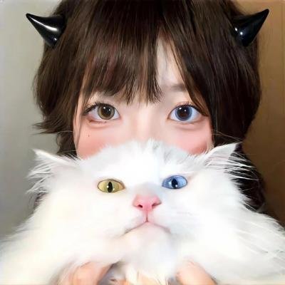 第三类法庭国语